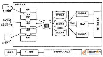 什么是bi项目