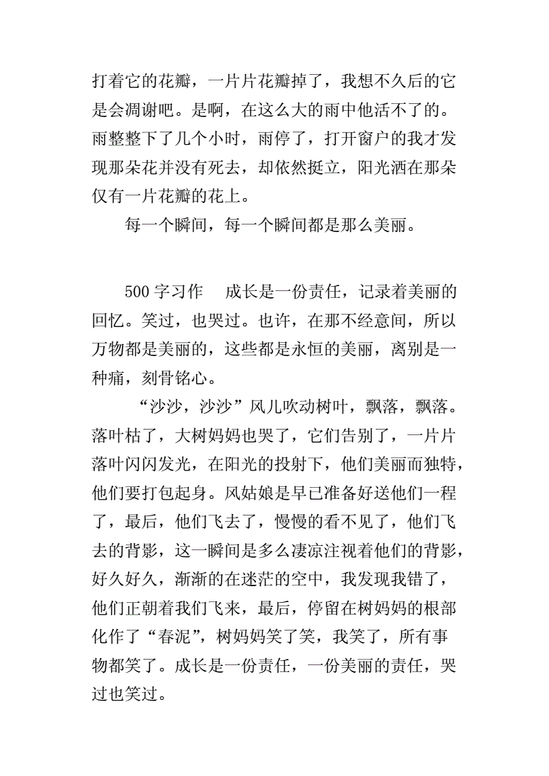 写一篇美丽的瞬间300字作文怎么写