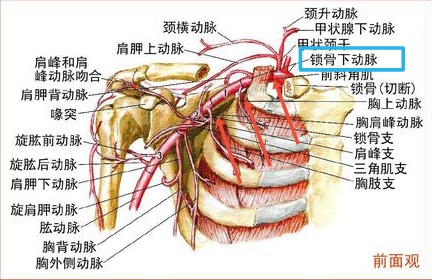 动脉闭塞怎么治疗