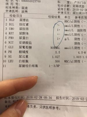 24小时尿蛋白2.43g高多少