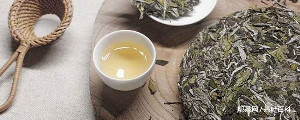 什么季节喝白茶