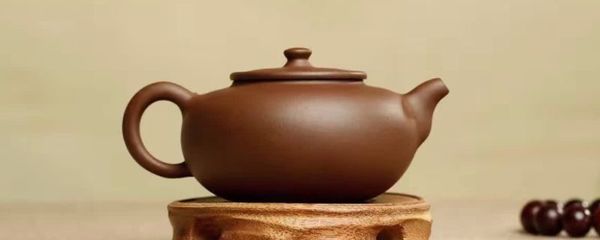 紫砂壶可以泡几种茶