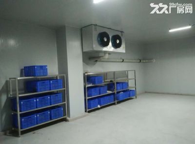 冻库出租