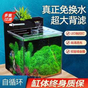 森森鸚鵡魚飼料質(zhì)量怎么樣?（森森魚缸質(zhì)量怎么樣?養(yǎng)鸚鵡）