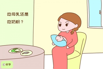 吃奶粉和母乳的区别