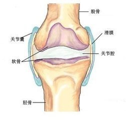 膝盖疼肿怎么治疗