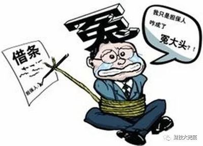刑事案件担保人