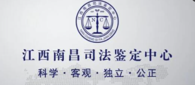 什么是司法