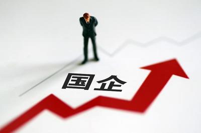 国企法人
