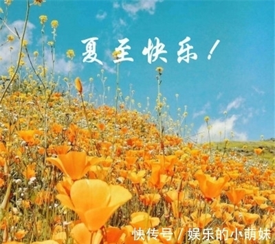 今年三伏共多少天