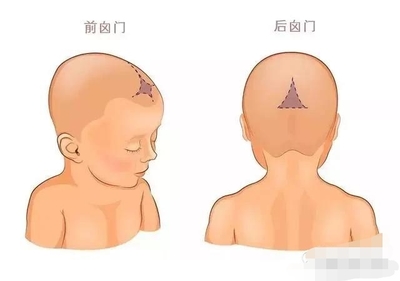 宝宝卤门在什么位置
