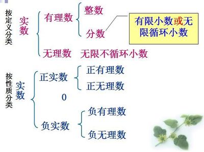 实数按什么分类