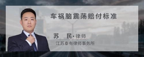 脑震荡赔偿标准