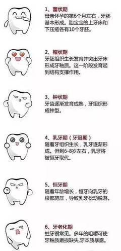 怀孕对牙齿有什么影响