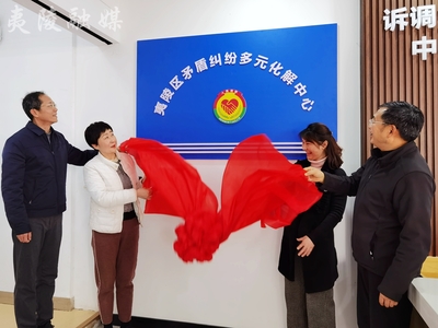 矛盾纠纷多元化解机制