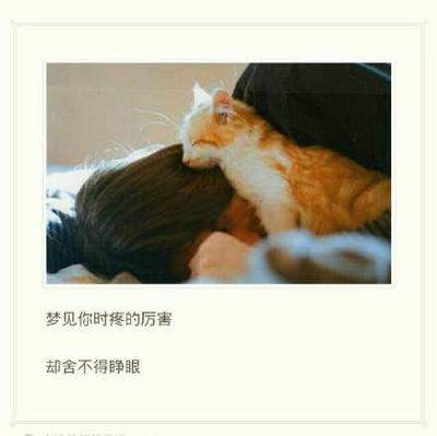 梦见喜欢的人关心自己