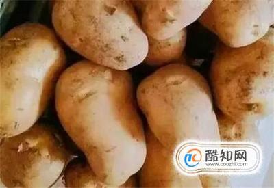 怎样储存土豆
