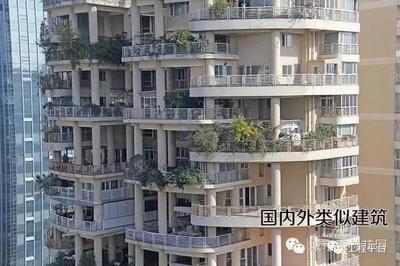 碧桂园房子