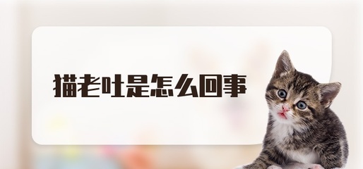 猫老吐是怎么回事