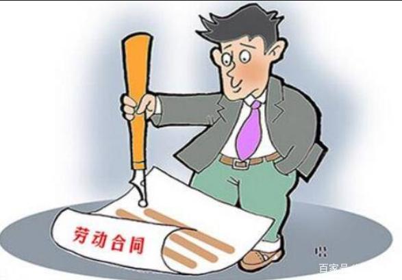 劳动合同的订立