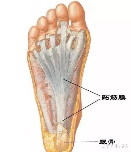 跖筋膜炎怎么治疗