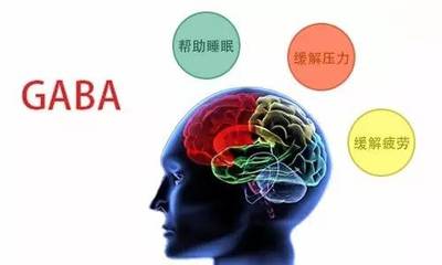 纹眉毛可以吃鱼吗