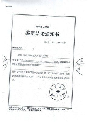 鉴定结论属于什么证据