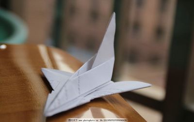 恐怖的纸飞机素材视频下载