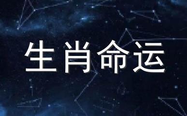2016年是什么命