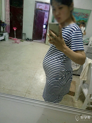 双胞胎4个月肚子图片