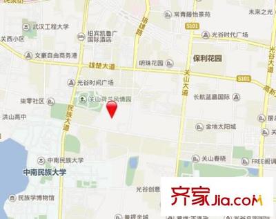 光谷青年城房价