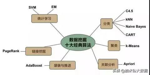 数据挖掘算法有哪些