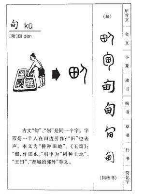 包字五行属什么