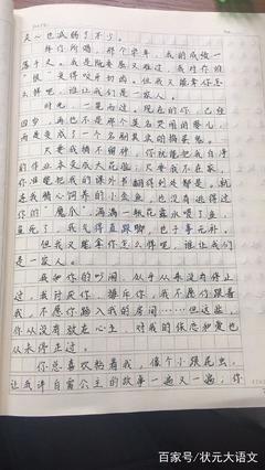 他和我不一样的作文600字作文怎么写