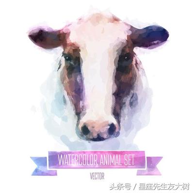 缺代表什么生肖