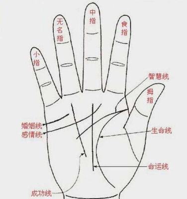 命运线止于智慧线
