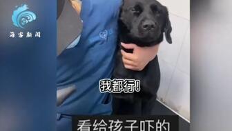 警犬的名字大全霸气