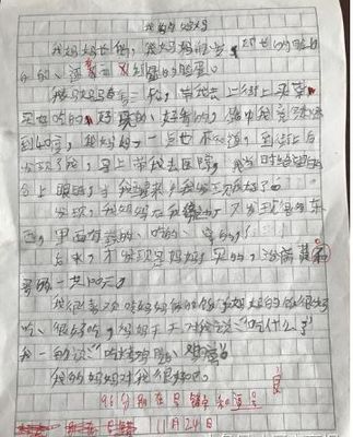 妈妈关心我怎么写作文