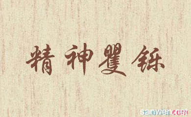 精神怎么成语