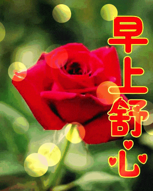 申根签证怎么再签