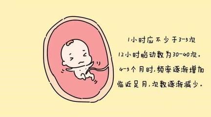 5个月胎儿一直动个不停
