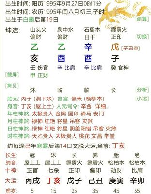 属猪的交运时间