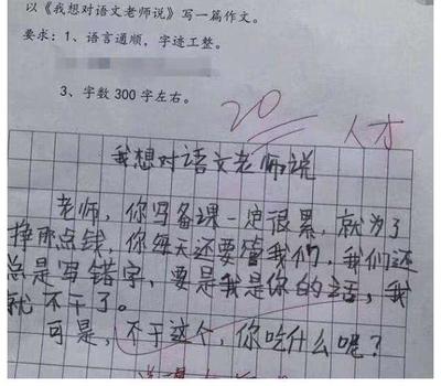 我想对小鸟说什么400字作文怎么写