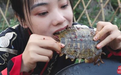 孕妇梦见吃甲鱼