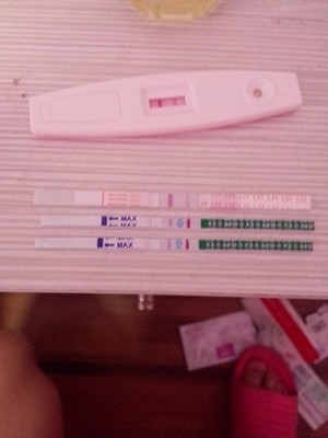 月经两个月