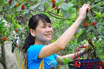 采杨梅的地方在哪里?福建福贡的杨梅基地离厦门有多远?