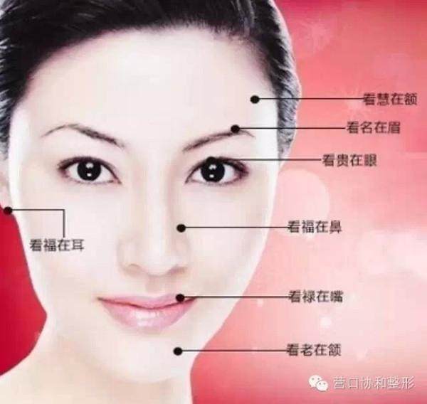 耳高于眉的男人命运