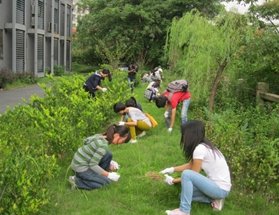 梦见自己在地里拔草