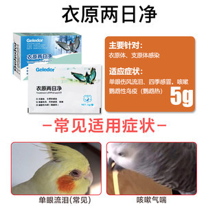 感冒咳嗽能吃鸽子吗