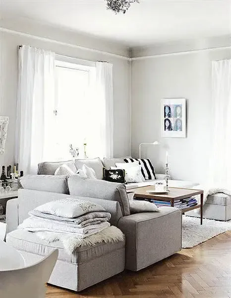 欧博国际网址K1鼠标特写